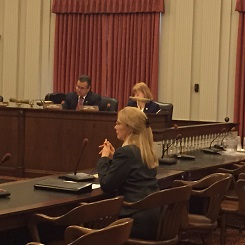 Rita Smith Giving Testimony Before the Assembly Health Committee